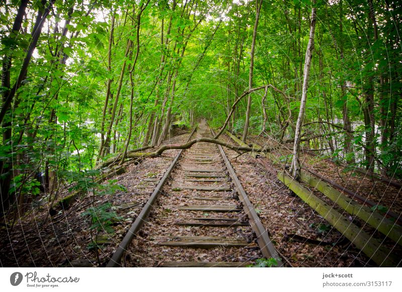 Tracks without connection lost places Branch Commuter trains Railroad tracks Secrecy Idyll Inspiration Transience Ravages of time Derelict Apocalyptic sentiment
