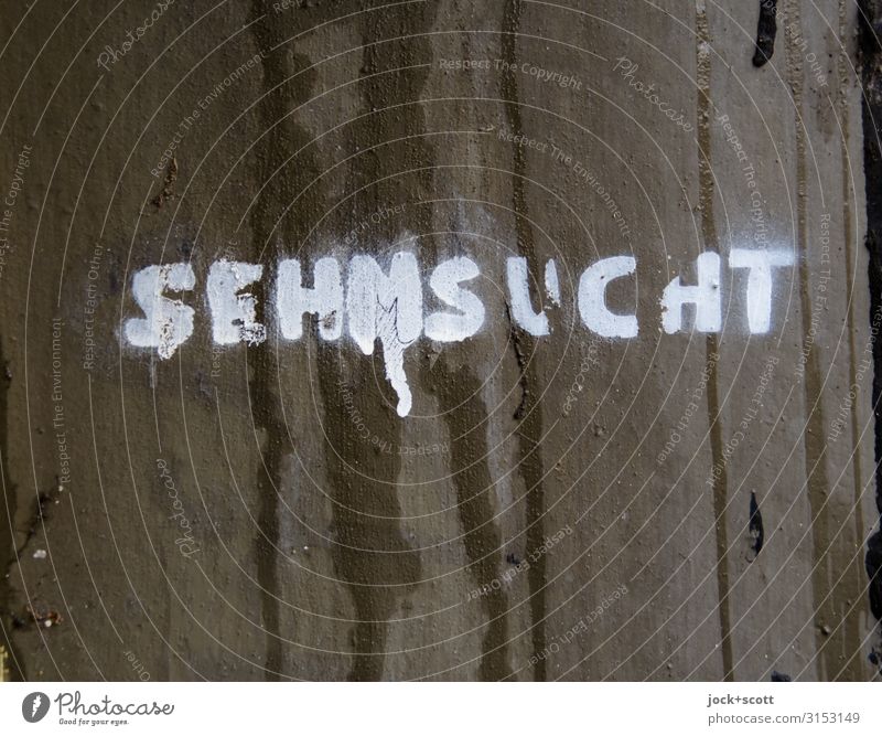 SEH(M)SEARCH Subculture Street art Concrete Word Simple Trashy Brown Tolerant Creativity Puzzle Change Capital letter Error Damp Surface Stencil letters
