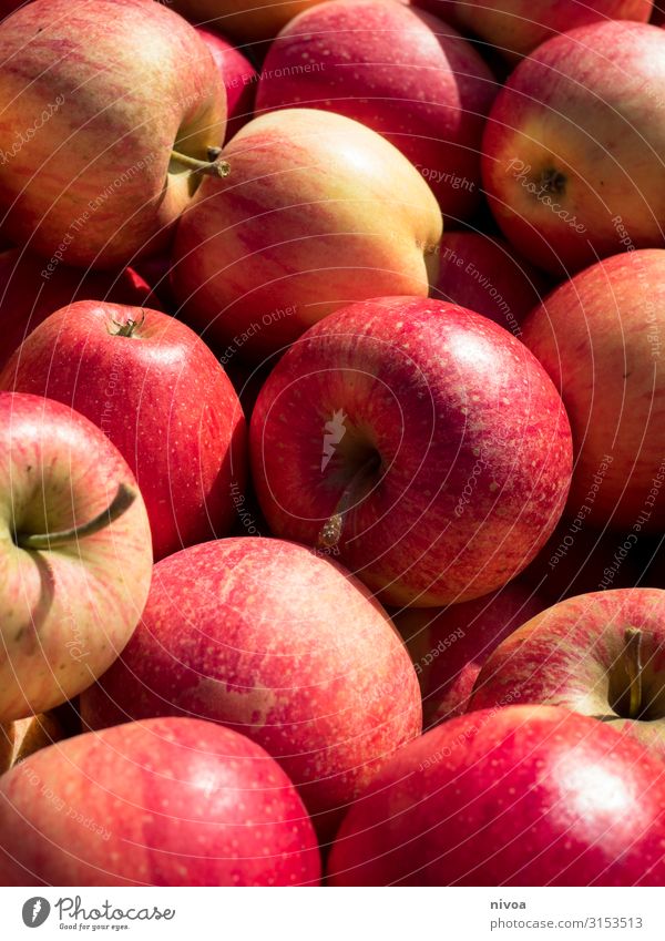 several red apples Food Apple Nutrition Eating Breakfast Lunch Organic produce Vegetarian diet Diet Fasting Slow food Drinking Cold drink Shopping Healthy