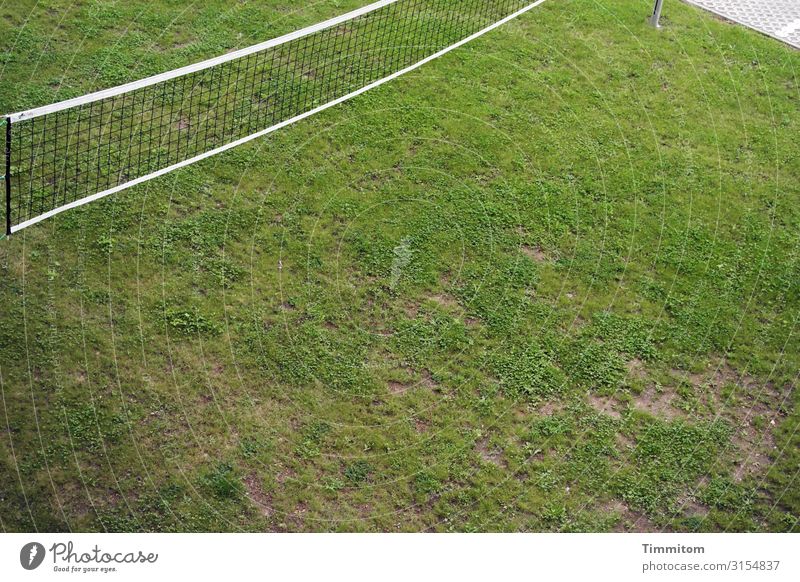 And another net Net Sports Grass Green Corner paving Pole Deserted Playing Leisure and hobbies Ball sports Sporting Complex