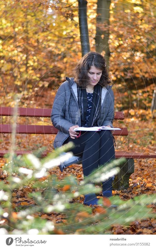 Autumn reading break - woman sitting on bench in forest in autumn Relaxation Leisure and hobbies Reading Woman Adults Environment Nature Leaf Forest To fall
