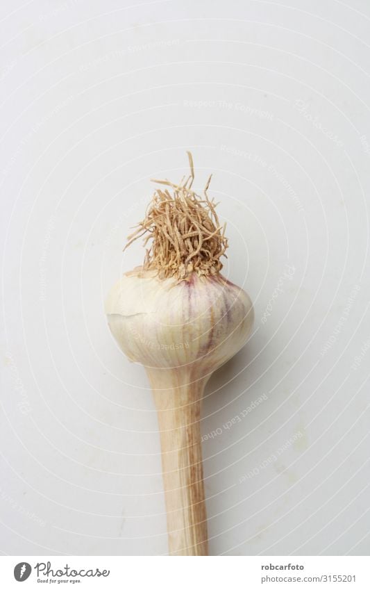 garlic head in color background Vegetable Herbs and spices Vegetarian diet Plant Fresh Natural White Organic Raw bulb Garlic healthy food Ingredients