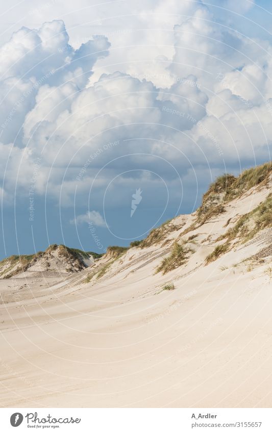 Beach with dune at the North Sea Senses Swimming & Bathing Vacation & Travel Tourism Trip Far-off places Freedom Summer Summer vacation Ocean Mountain Nature