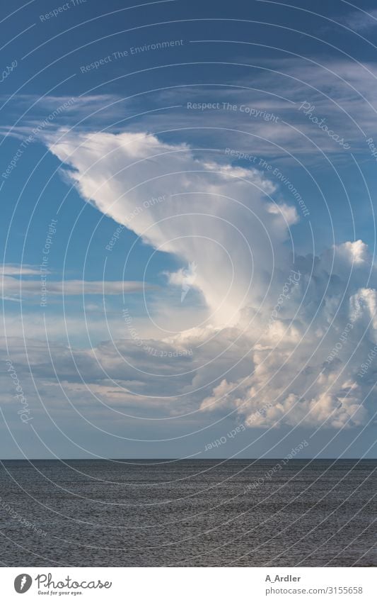 Clouds over the sea Nature Landscape Elements Water Sky Summer Beautiful weather North Sea Ocean Looking Exceptional Threat Gigantic Blue White Emotions