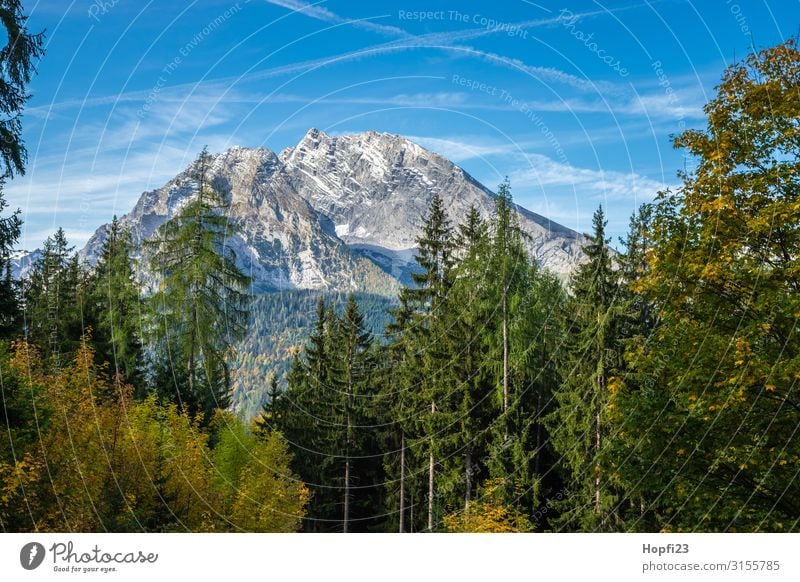 Alps in the Berchtesgaden region Environment Nature Landscape Plant Sky Autumn Beautiful weather Tree Forest Rock Mountain Peak Diet Fitness Going Walking
