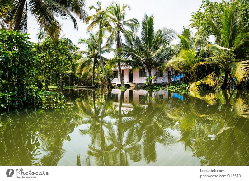 House in the Kerala backwaters Vacation & Travel Tourism Adventure Far-off places Sightseeing Summer Nature Exotic Coast River bank