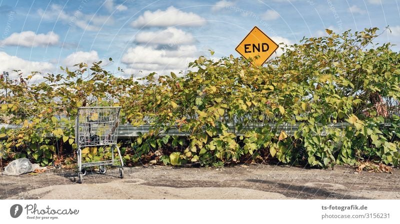 End of the consumer society Shopping Environment Nature Sky Clouds Climate change Beautiful weather Plant Bushes Leaf Foliage plant Shopping Trolley Sign