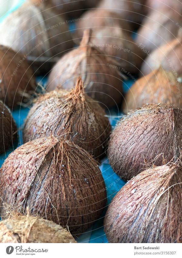 Empty Coconut Shells Fruit Cooking oil Organic produce Vegetarian diet Juice Skin Health care SME Nature Container Oil Diet Natural Brown Appetite Tradition