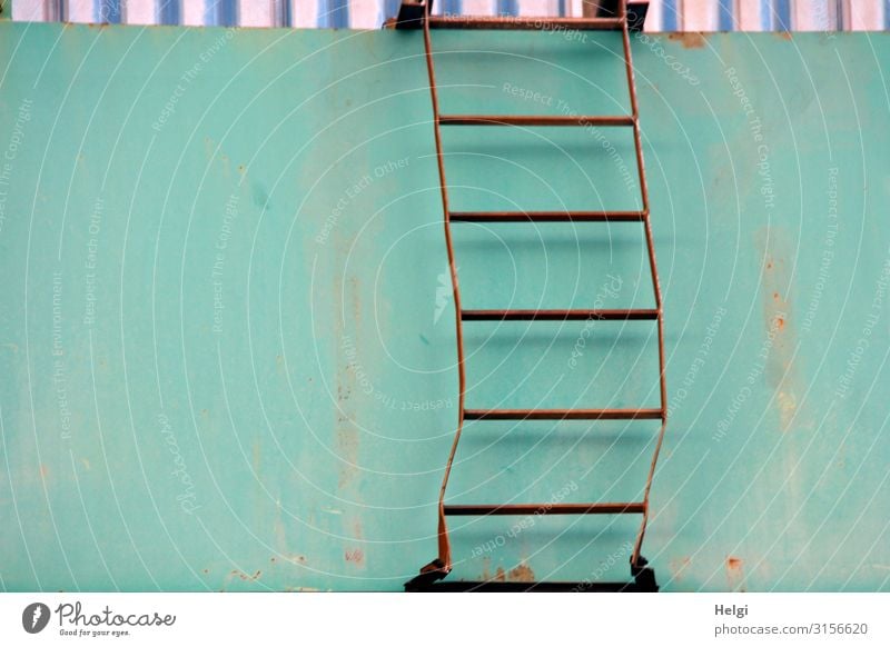 bent ladder of rusted metal on a turquoise wall Wall (barrier) Wall (building) Ladder Metal To hold on Stand Authentic Exceptional Simple Uniqueness Blue Brown
