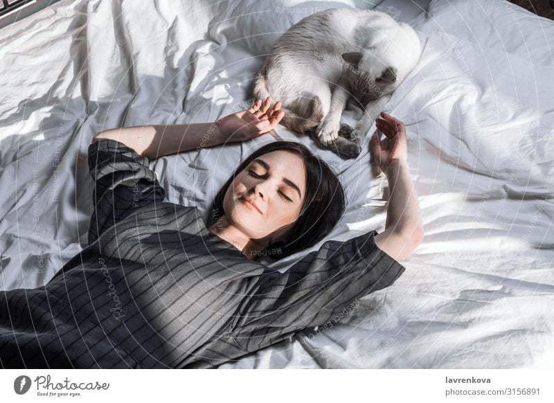 Young adult woman lying in bed and with her cat and pile of books in her hands adoption Bed Bedclothes Bedroom Blanket Duvet Cat Cozy Faceless Fingers Fur coat