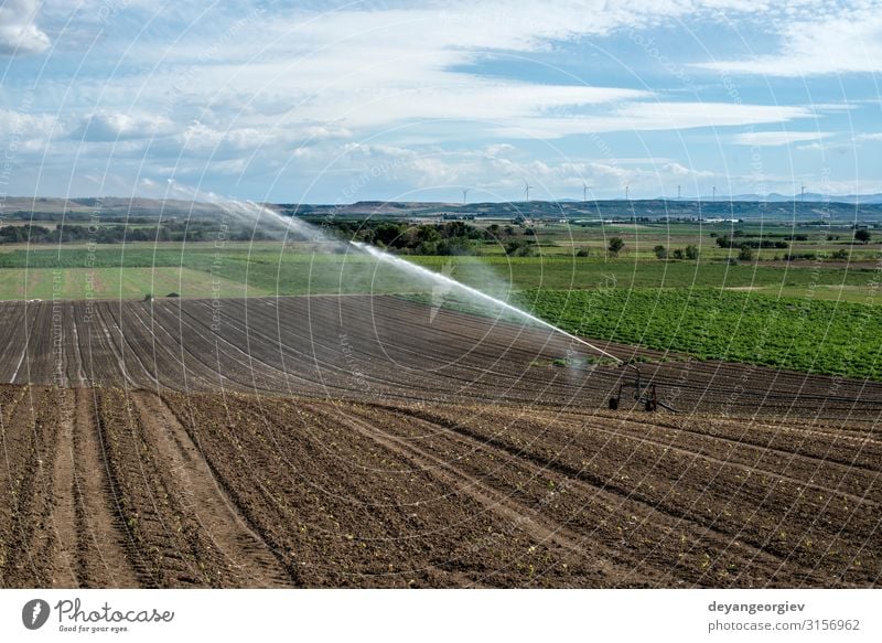 Watering green plants and plowed soil. Nutrition Summer Work and employment Industry Tool Technology Metal Growth Green sprinkler Farm panorama Irrigation