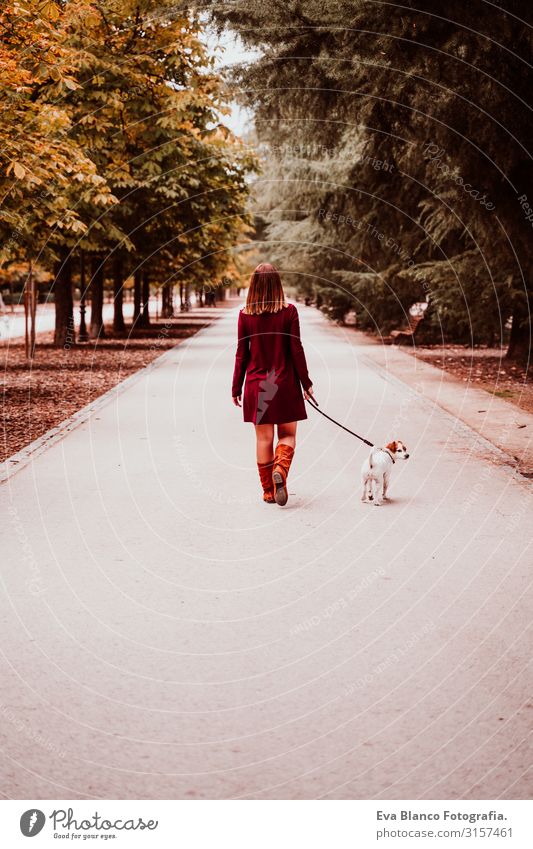 young woman and her cute jack russell dog walking in a park. Love for animals concept Woman Dog Walking Park Autumn Forest Tree Jack Russell terrier Cute Small