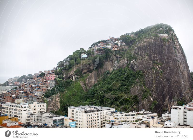 In the middle of Rio de Janeiro Vacation & Travel City trip Landscape Sky Hill Town Overpopulated House (Residential Structure) Hut Poverty Equal