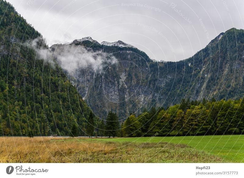 Alps in the Berchtesgaden region Environment Nature Landscape Plant Sky only Clouds Autumn Weather Fog Tree Grass Forest Rock Mountain Peak Diet Movement