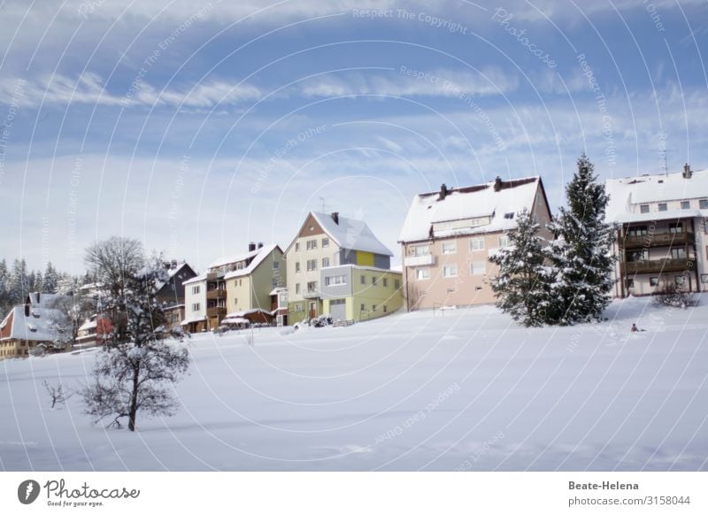 snowy Black Forest village Healthy Environment Nature Landscape Sky Clouds Winter Snow Tree Schönwald Village House (Residential Structure) Relaxation Freeze