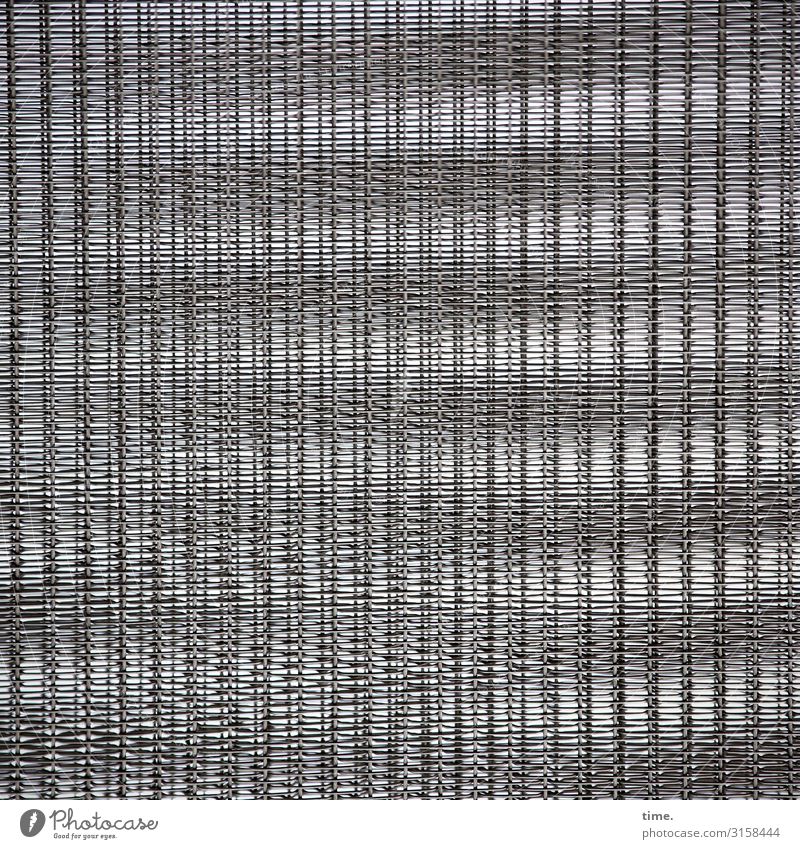 privacy screen Art Work of art Screening Closed Metal Line Stripe Network Esthetic Gray Safety Protection Discover Resolve Accuracy Idea Inspiration Complex