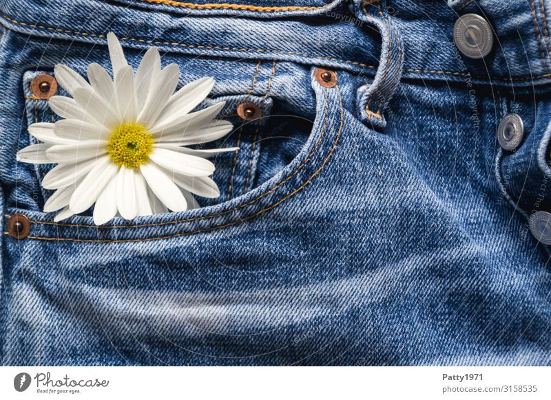 Trouser pockets Flirt Plant Flower Blossom Jeans Blossoming Cool (slang) Hip & trendy Natural Blue White Emotions Joie de vivre (Vitality) Love Infatuation