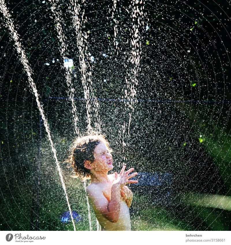 it smells like... | summerfeeling Child Boy (child) Portrait photograph Playing Happiness Happy Infancy Joy Laughter Summer Water bathe Romp fortunate