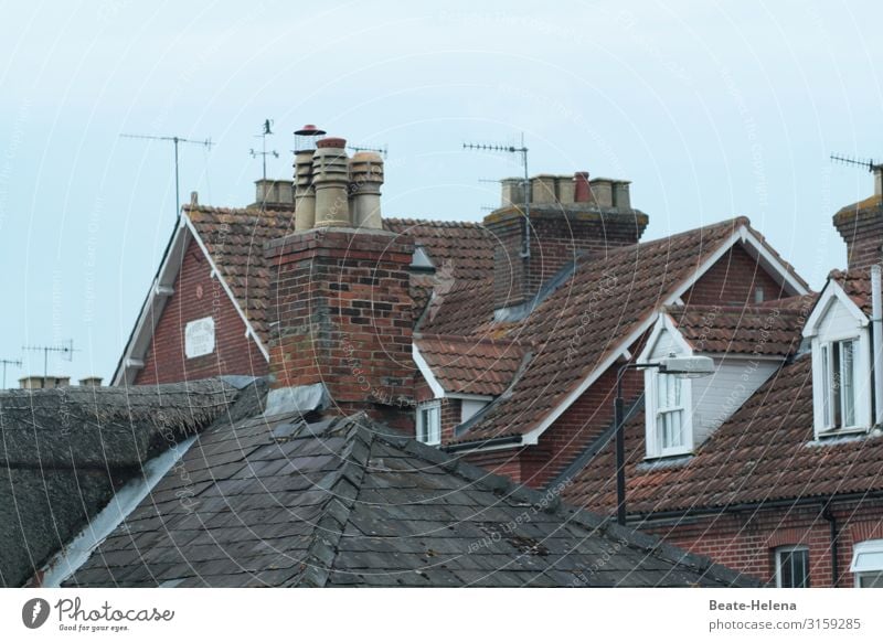 Above the rooftops of Wales Roof Skylight Fireplaces antennas House (Residential Structure) Window Architecture Roofing tile Chimney Exterior shot Detail
