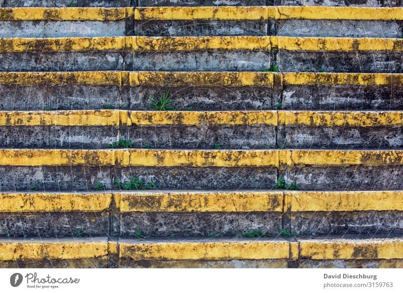 staircase Stone Concrete Line Yellow Gray Black Success Stairs Plant Weed Green Symmetry Colour photo Exterior shot Pattern Structures and shapes Deserted Day