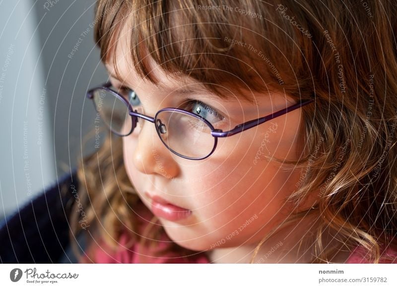 Portrait of a young blue eyed blond girl with eye glasses Beautiful Child Baby Infancy Eyes Eyeglasses Blonde Think Small Cute Blue Concentrate Innocent light