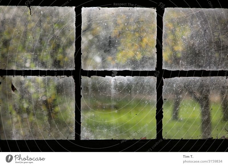 window look Poland House (Residential Structure) Farm Window Autumn Glass Dirty Colour photo Interior shot Deserted Day