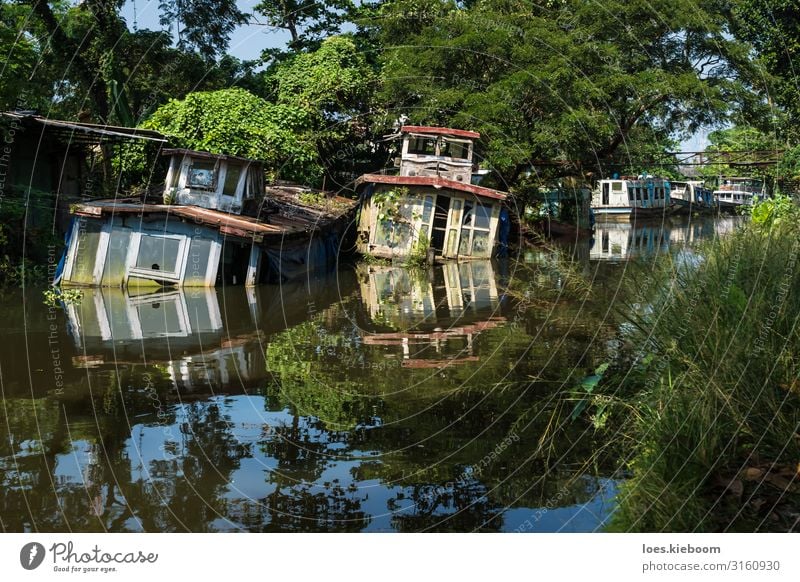 Sunken house boats in Kerala backwater Vacation & Travel Tourism Adventure Far-off places Sightseeing Nature Beautiful weather Exotic River bank Navigation