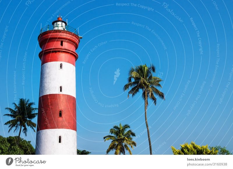 Alleppey Lighthouse, Kerala, India Vacation & Travel Tourism Adventure Far-off places Sightseeing City trip Summer Beach Nature Sun Sunlight Foliage plant