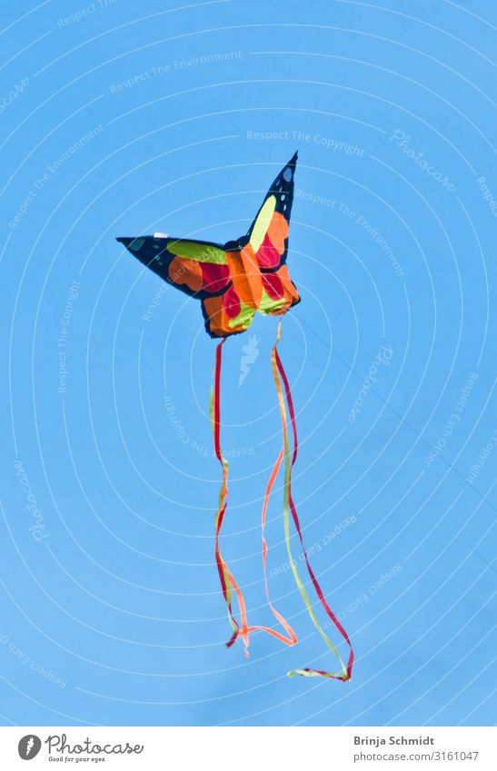 kites2 Wind chime - a Royalty Free Stock Photo from Photocase