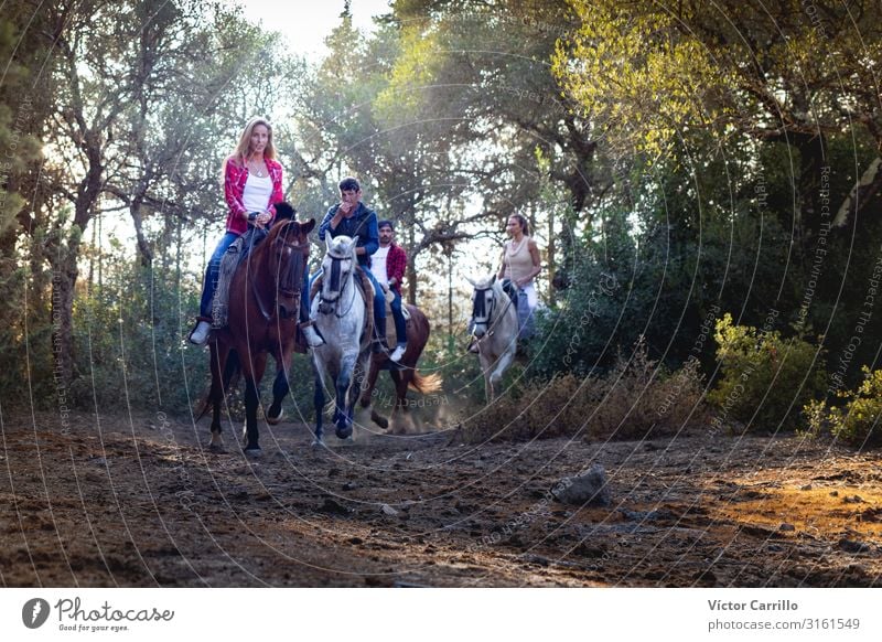 A group of people riding a horse in the nature Lifestyle Elegant Style Leisure and hobbies Ride Human being Masculine Feminine Young woman Youth (Young adults)