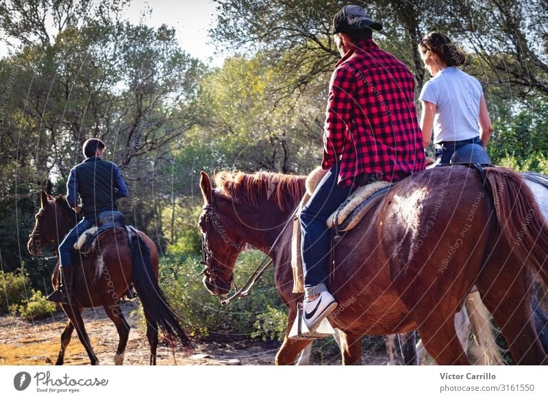 A couple of a man and a woman riding a horse Lifestyle Elegant Style Human being Masculine Feminine Young woman Youth (Young adults) Young man Woman Adults Man