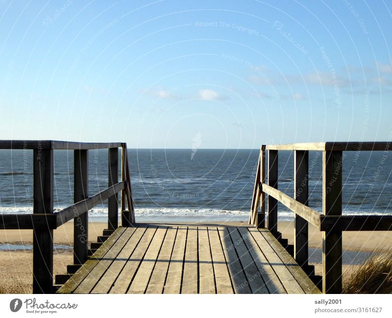 farsighted | to the horizon... Sky Beautiful weather Waves Coast Beach North Sea Ocean Stairs Bridge railing Handrail Wood Far-off places Free Maritime