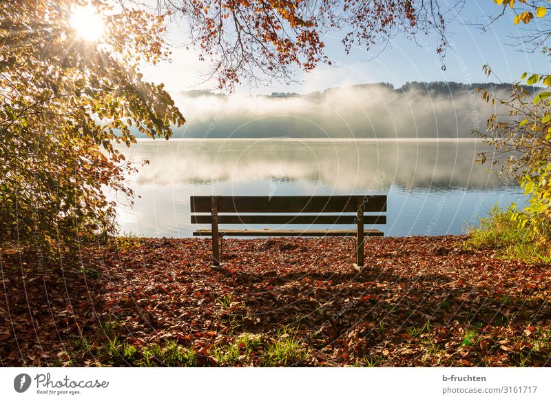 Empty park bench on the lake shore, sun, morning fog Harmonious Relaxation Calm Meditation Vacation & Travel Freedom Hiking Sky Sunlight Autumn