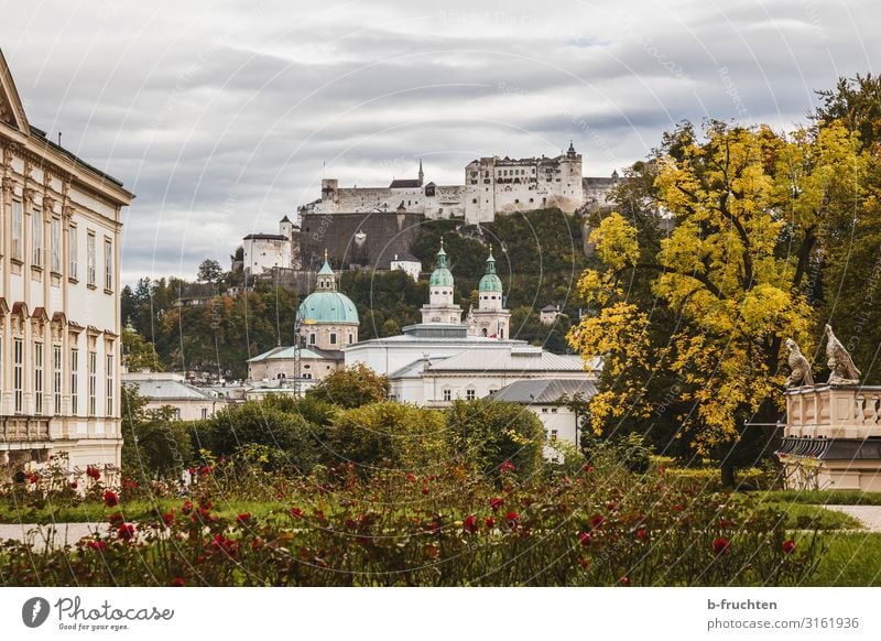 Salzburg - view from Mirabell garden to Hohensalzburg fortress Tourism Clouds Autumn Tree Bushes pink Garden Park Town Old town Church Dome Castle