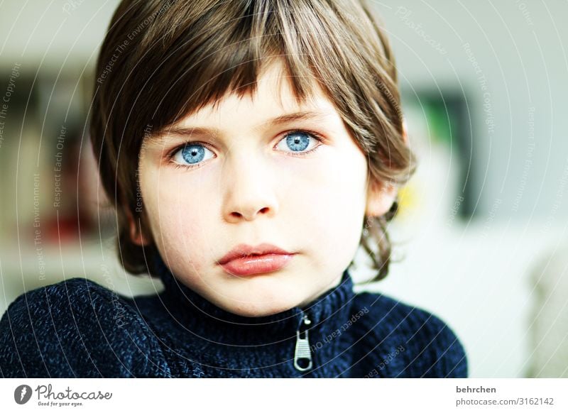 behind blue eyes Child Boy (child) Family & Relations Infancy Skin Head Hair and hairstyles Face Eyes Nose Mouth Lips 3 - 8 years Dream Beautiful Blue Sadness