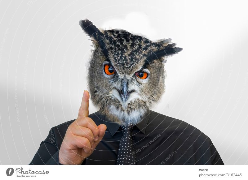 Man with owl head raises his finger Androgynous Head Fingers 1 Human being Animal Wild animal Bird Owl birds Creepy Astute Smart Inspiration Reliability
