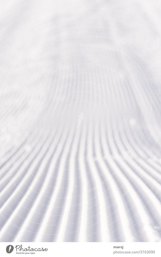 New week, fresh and untouched Ski run Winter Snow Furrow Simple Together Cold White Loneliness Pure Untouched Colour photo Subdued colour Exterior shot Abstract
