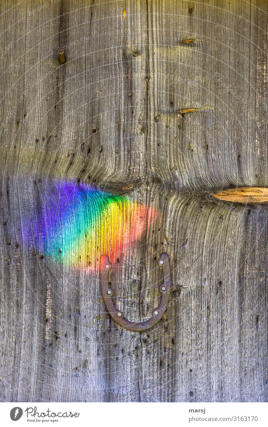 There's no horseshoe at the end of the rainbow. Harmonious Relaxation Prismatic colors Horseshoe Nailed Patina Wood grain Steel Exceptional Multicoloured