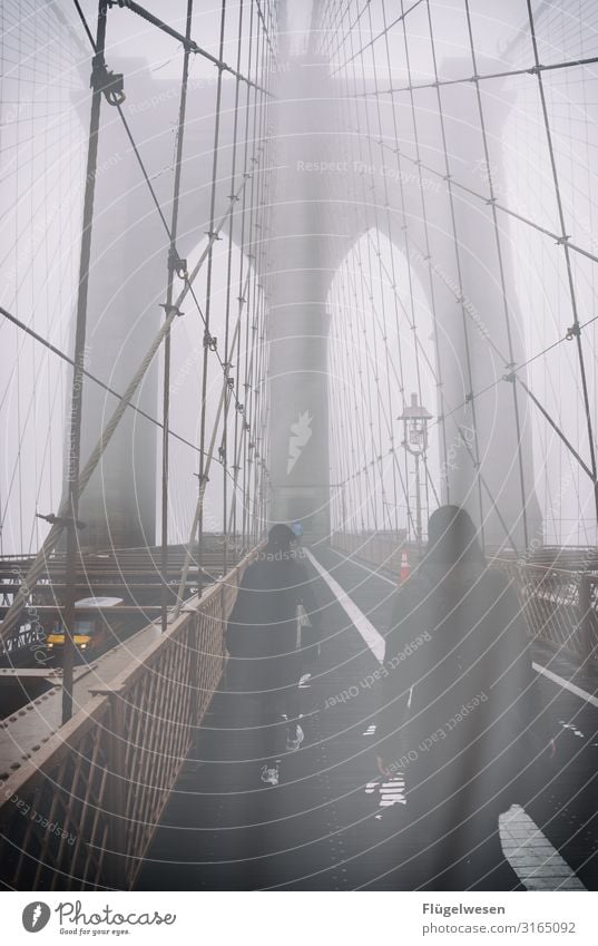over seven bridges... New York City Americas USA American Flag High-rise Night Skyline Manhattan Bridge Brooklyn Brooklyn Bridge Fog Haze Human being Street