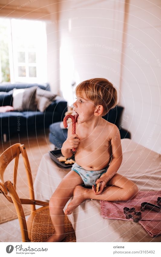Little boy eating christmas candy Eating Happy Sofa Child Boy (child) Infancy Sit Happiness Small Cute Home holiday young people kid Son food Interior shot