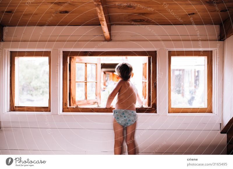 Curious Toddler looking out of cabin window Lifestyle Happy Beautiful Child Human being Natural Home people room interior Interior shot Morning Looking