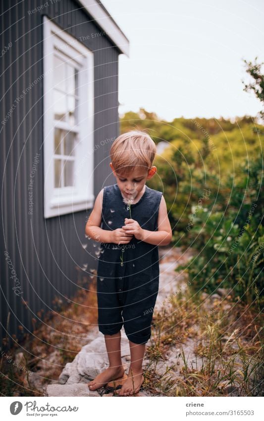 boy in front of a house blowing dandelion Joy Happy Playing Summer Garden Child Human being Toddler Boy (child) Woman Adults Family & Relations Infancy Nature