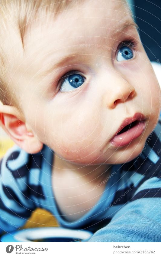 amazement blue eyes Baby - a Royalty Free Stock Photo from Photocase