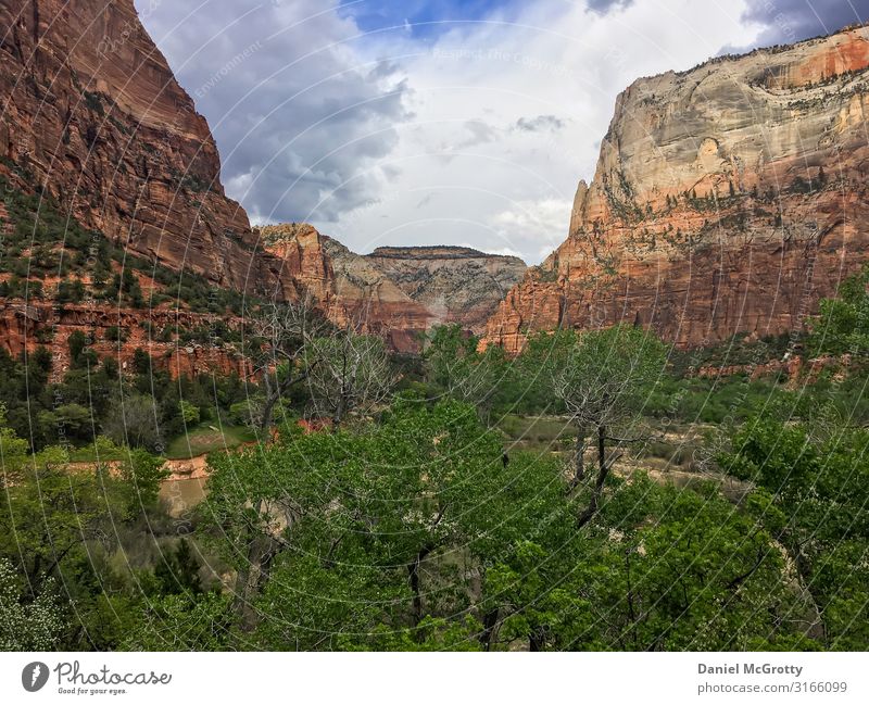 Mountains and a View from Below Environment Nature Landscape Spring Summer Breathe Walking Hiking Zion Nationalpark Red Orange Drive red rocks Multicoloured