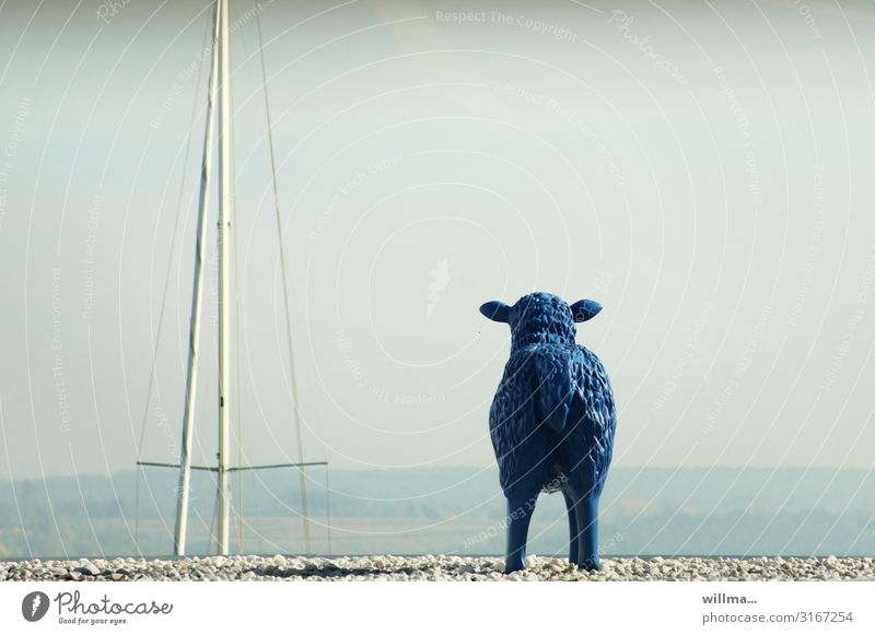 Blue sheep looks longingly over the lake Wanderlust Pole Sheep Hind quarters Plastic Sculpture Far-off places Longing View into the distance Gravel Copy Space