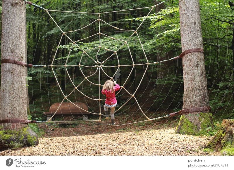Female child climbs in a spider web of ropes.  Adventure playground in the forest. Climbing Spider's web Forest Amusement Park Experience Rope Playground Child