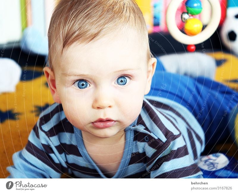 amazement blue eyes Baby Boy (child) Father Mother Family & Relations Infancy Eyes Face Head Skin Ear Nose Protection Trust 0 - 12 months Safety (feeling of)