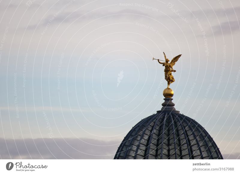 Angel on the dome Old town Ancient Architecture Baroque Dresden Elbufer Elbe Classical Culture Capital city Vacation & Travel Travel photography Saxony Town