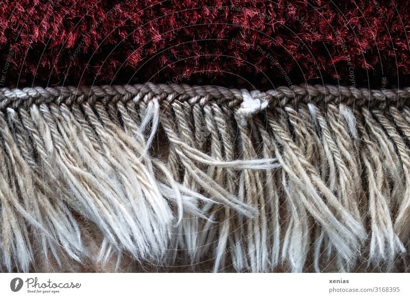 Fringes at the edge of the carpet Living or residing Room Carpet Rug fringe Floor covering Soft Red White knotted fringed Subdued colour Interior shot Close-up