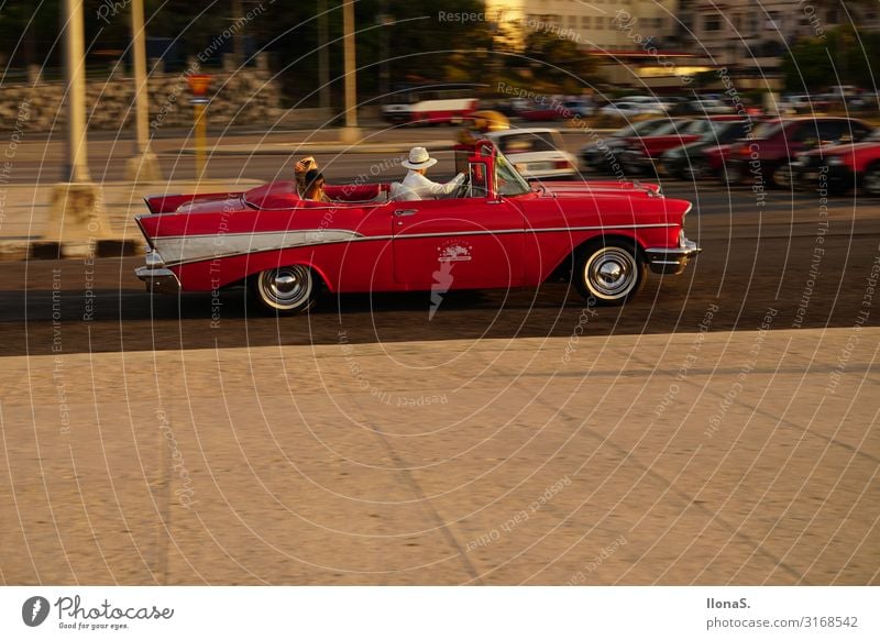 Vintage cars in Havana Human being Head 3 Beautiful weather Coast Ocean Island Town Capital city Tourist Attraction Transport Means of transport